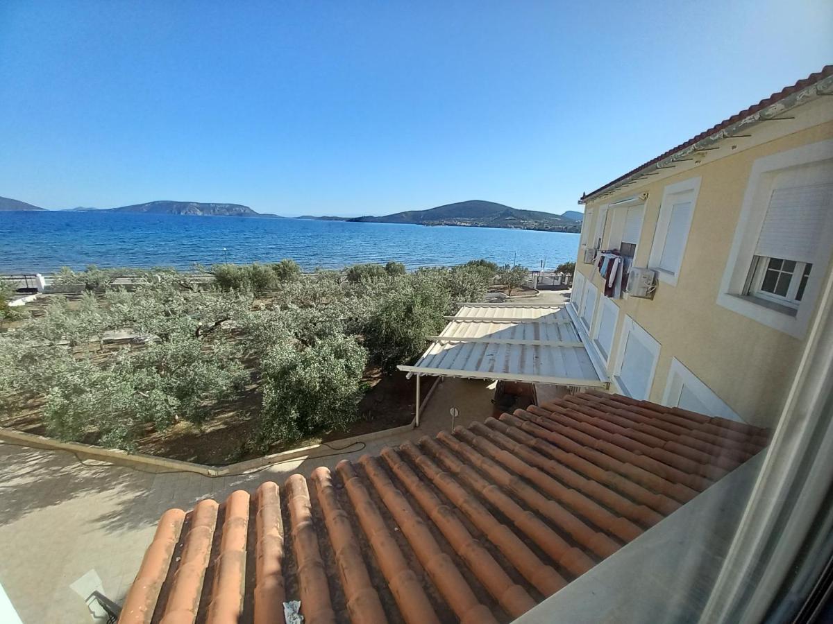 Hotel Dardiza